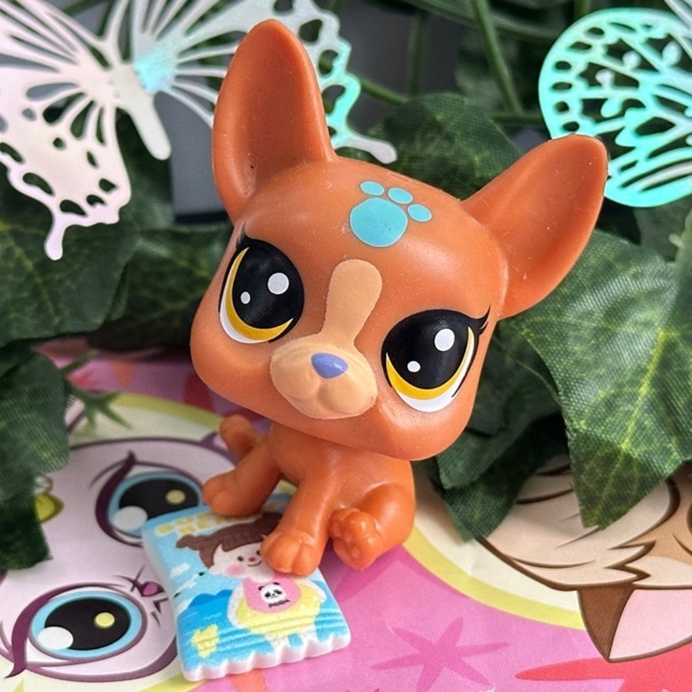 Littlest Pet Shop LPS No # Lucky Pets Nori Brown Blue Boston Terrier Dog Acc